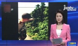 爆料广东雨嫂视频大全,揭秘民间风情与生活百态