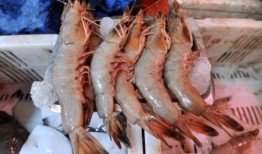 海鲜大虾真实爆料图片视频,真实爆料图片视频背后的真相