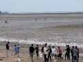 赶海直播间爆料视频下载,海量爆料视频下载攻略