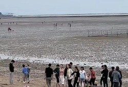 赶海直播间爆料视频下载,海量爆料视频下载攻略