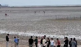 赶海直播间爆料视频下载,海量爆料视频下载攻略