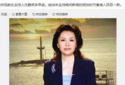 天涯爆料方静简介视频播放,简介视频背后的故事与真相