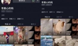 很多人拍爆料视频去哪拍,探寻幕后热门打卡点