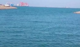 赶海直播间爆料视频下载,海量爆料视频下载攻略