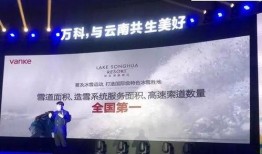 云南万科最新爆料,揭秘未来城市生活新篇章