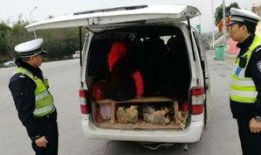 泉州面包车爆料事件最新,真相与争议交织的舆论漩涡